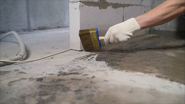 Top rated local Waterproofing specialists in Trinity, NC